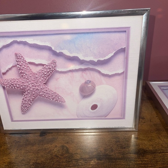 Sea Shell prints frames - Picture 9 of 12